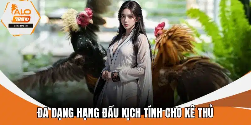 Đa dạng hạng đấu kịch tính cho kê thủ