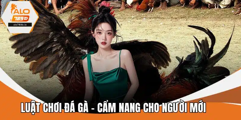 Luật Chơi Đá Gà - Cẩm Nang Dành Cho Người Mới Bước Vào Sới