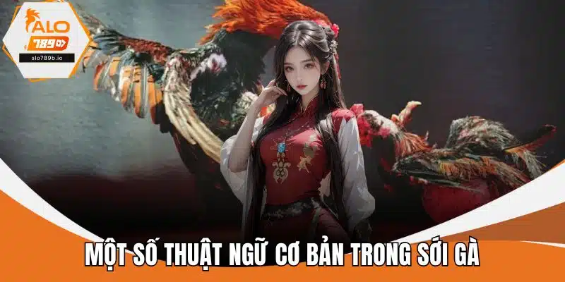 Một số thuật ngữ cơ bản trong sới gà