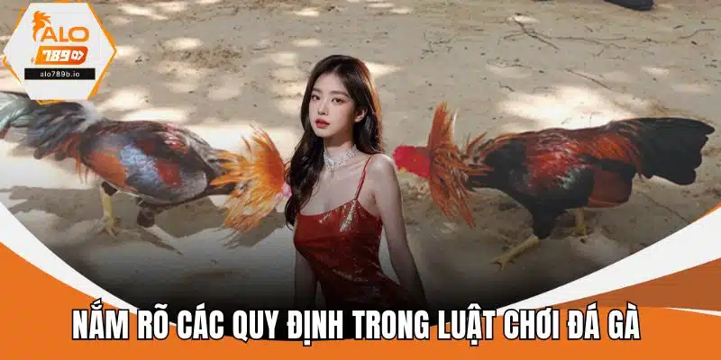 Nắm rõ các quy định trong luật chơi đá gà