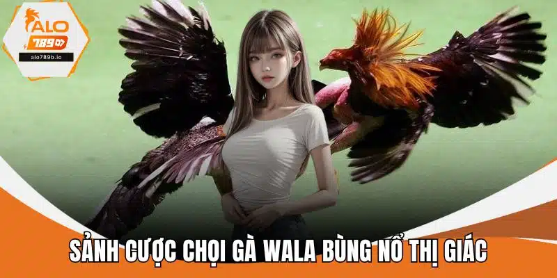 Sảnh cược chọi gà Wala bùng nổ thị giác