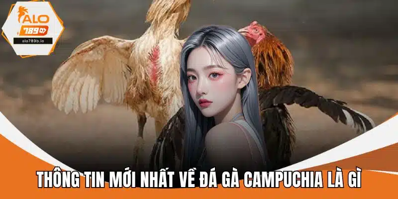 Thông tin mới nhất về đá gà Campuchia là gì