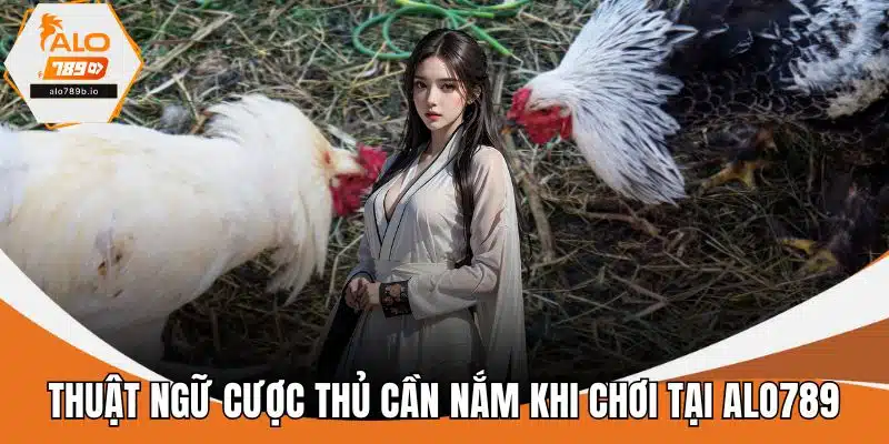 Thuật ngữ cược thủ cần nắm khi chơi tại ALO789