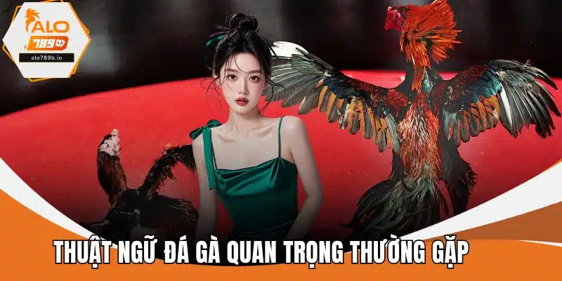 Thuật Ngữ Đá Gà Quan Trọng Thường Gặp Anh Em Nên Biết