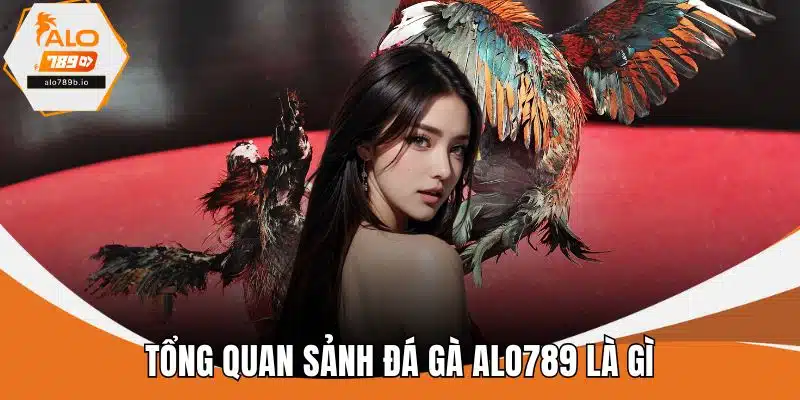 Tổng quan sảnh đá gà ALO789 là gì