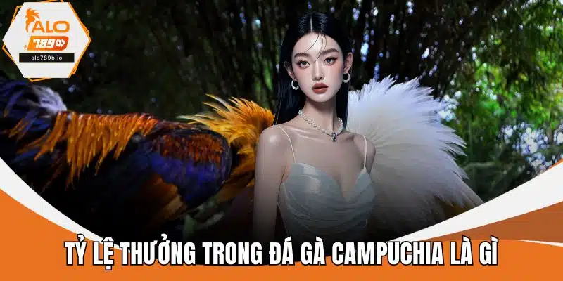 Tỷ lệ thưởng trong đá gà Campuchia là gì