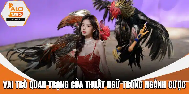 Vai trò quan trọng của thuật ngữ trong ngành cược
